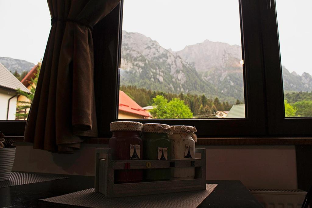 Apartament Mountain Life Buşteni 外观 照片
