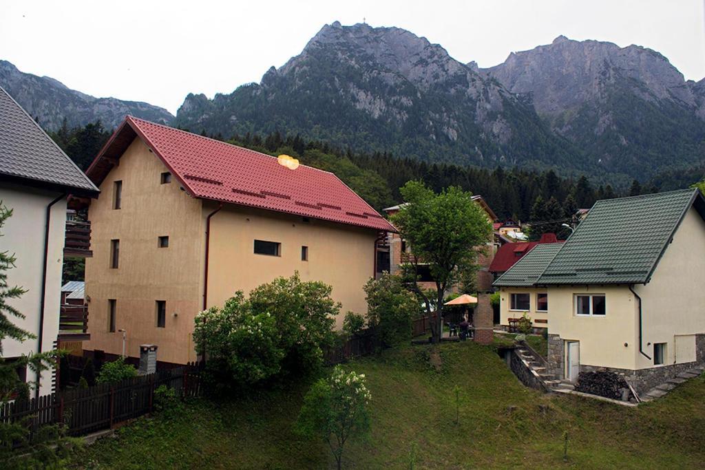Apartament Mountain Life Buşteni 外观 照片